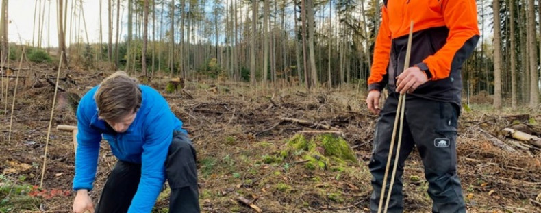 Etape importante pour BAUHAUS : 500 000 arbres approuvés / Plus de 100 000 semis plantés d'ici la fin de l'année